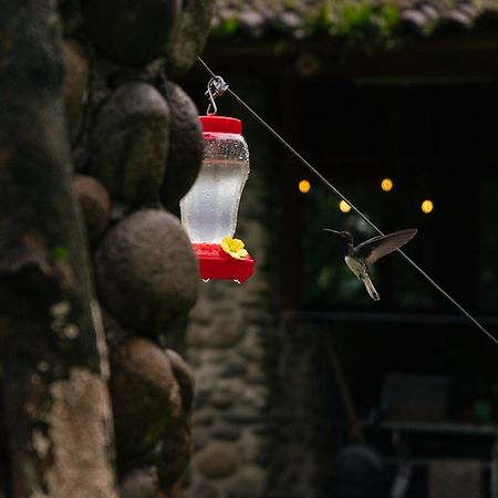 Pura Vista Glamping Hotel El Castillo Eksteriør billede