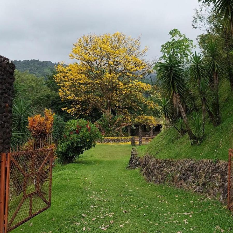 Pura Vista Glamping Hotel El Castillo Eksteriør billede