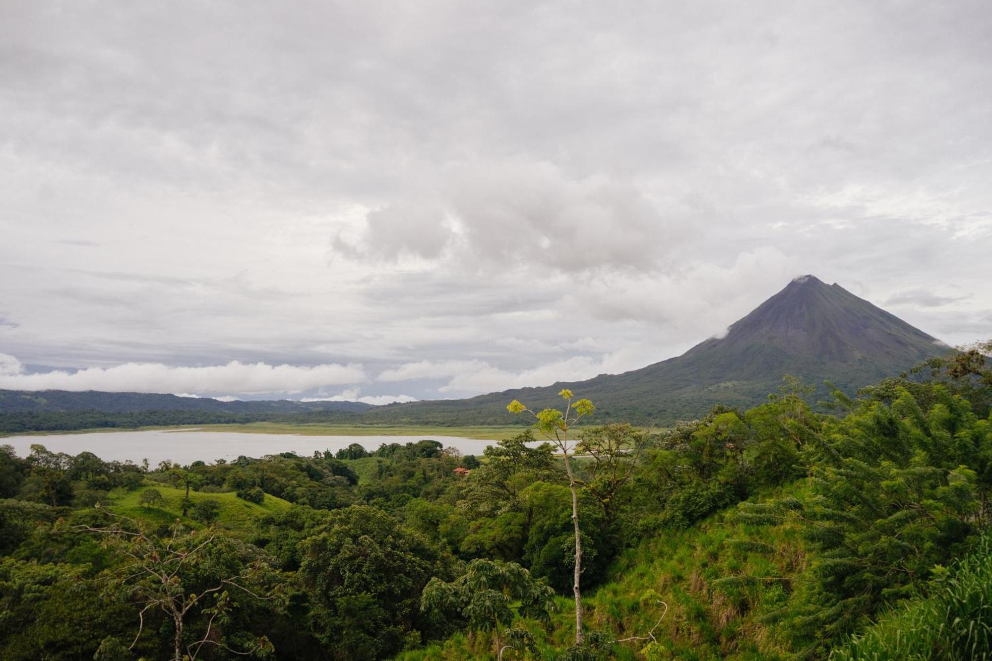 Pura Vista Glamping Hotel El Castillo Eksteriør billede