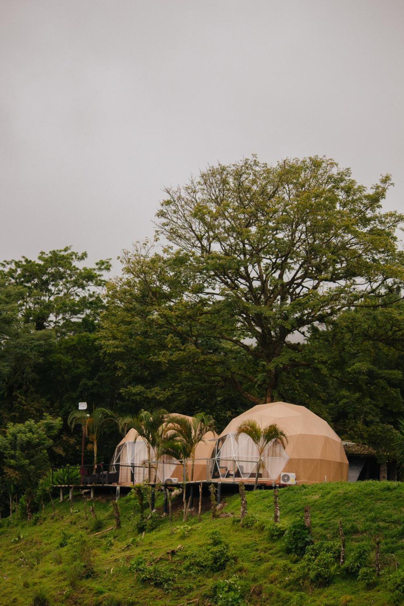 Pura Vista Glamping Hotel El Castillo Eksteriør billede