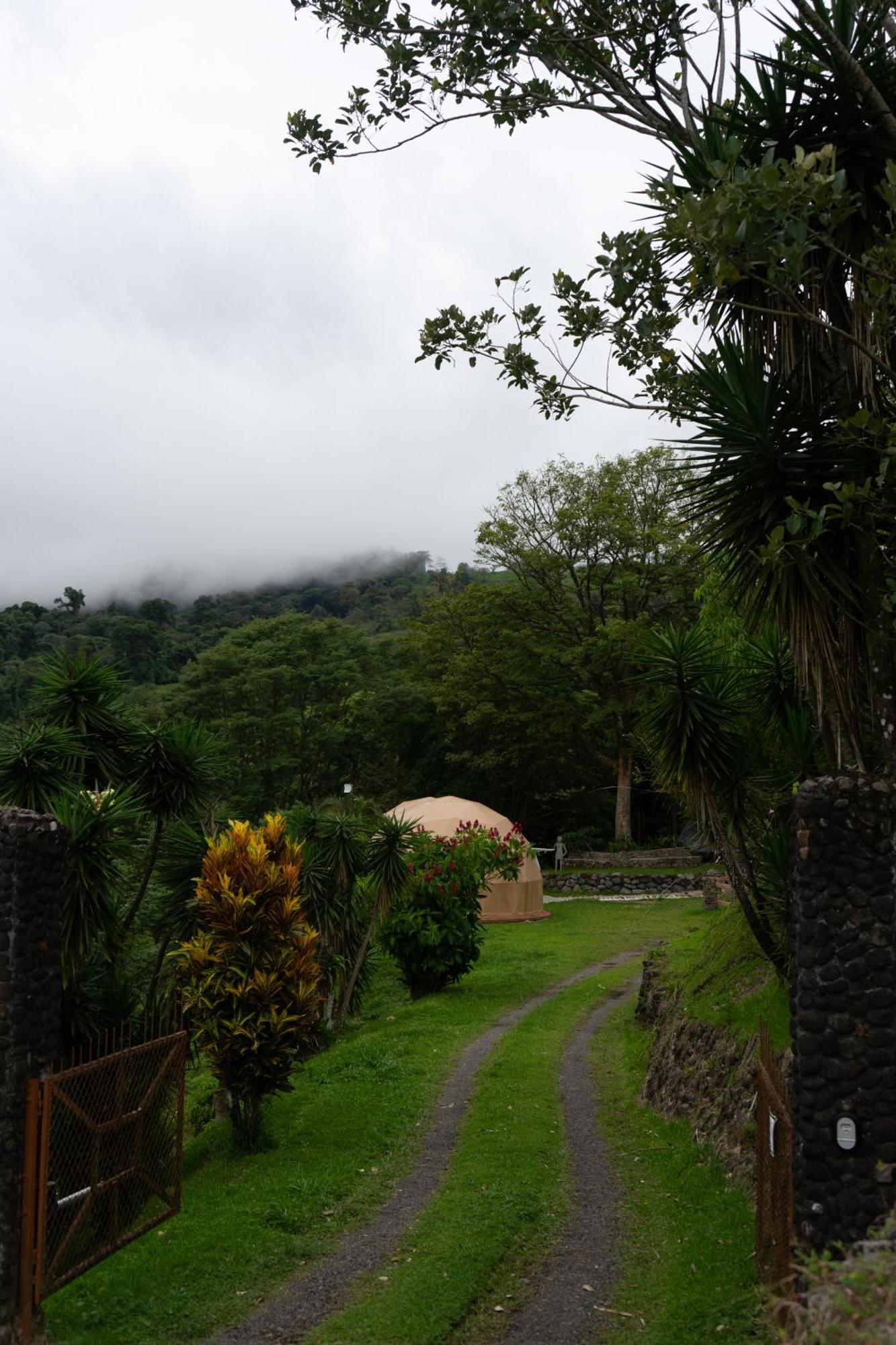 Pura Vista Glamping Hotel El Castillo Eksteriør billede
