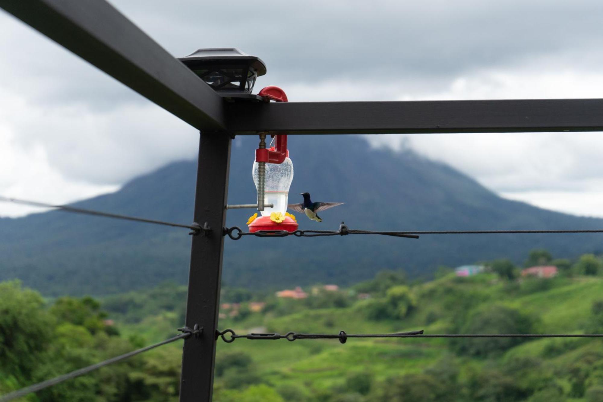 Pura Vista Glamping Hotel El Castillo Eksteriør billede